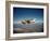 Cessna Superlobe Flying-null-Framed Photographic Print