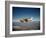 Cessna Superlobe Flying-null-Framed Photographic Print