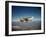 Cessna Superlobe Flying-null-Framed Photographic Print