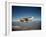 Cessna Superlobe Flying-null-Framed Photographic Print