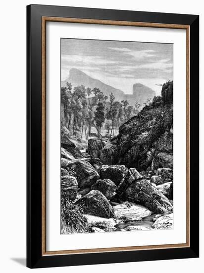 Ceylon (Sri Lank), 1895-null-Framed Giclee Print