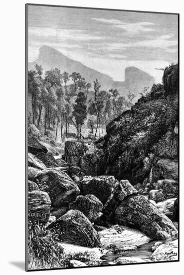 Ceylon (Sri Lank), 1895-null-Mounted Giclee Print