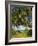 Ceylon, Sri Lanka, Highland, Tea Plantation-Thonig-Framed Photographic Print