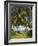 Ceylon, Sri Lanka, Highland, Tea Plantation-Thonig-Framed Photographic Print