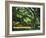 Cezanne: Etang, 1877-Paul Cézanne-Framed Giclee Print