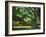 Cezanne: Etang, 1877-Paul Cézanne-Framed Giclee Print