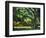 Cezanne: Etang, 1877-Paul Cézanne-Framed Premium Giclee Print