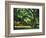 Cezanne: Etang, 1877-Paul Cézanne-Framed Giclee Print