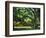 Cezanne: Etang, 1877-Paul Cézanne-Framed Giclee Print