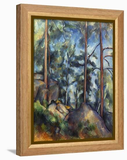 Cezanne: Pines, 1896-99-Paul C?zanne-Framed Premier Image Canvas