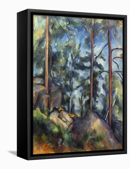 Cezanne: Pines, 1896-99-Paul C?zanne-Framed Premier Image Canvas