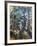 Cezanne: Pines, 1896-99-Paul C?zanne-Framed Giclee Print