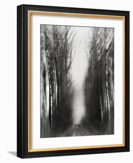 Cezanne's Walk-Yvette Depaepe-Framed Photographic Print