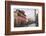 Chachani Volcano Seen from Arequipa, Peru, South America-Matthew Williams-Ellis-Framed Photographic Print