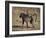 Chacma Baboon Carrying Young, Hluhluwe and Umfolozi Game Reserves, South Africa-Steve & Ann Toon-Framed Photographic Print