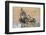 Chacma Baboons (Papio Cynocephalus) at Waterhole, Mkhuze Game Reserve, Kwazulu-Natal, South Africa-Ann & Steve Toon-Framed Photographic Print