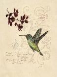 Filigree Hummingbird-Chad Barrett-Art Print