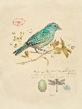 Gilded Songbird IV-Chad Barrett-Art Print