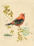 Gilded Songbird 3-Chad Barrett-Framed Art Print