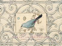 Gilded Songbird 4-Chad Barrett-Art Print