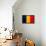 Chad Flag Design with Wood Patterning - Flags of the World Series-Philippe Hugonnard-Framed Stretched Canvas displayed on a wall