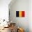 Chad Flag Design with Wood Patterning - Flags of the World Series-Philippe Hugonnard-Premium Giclee Print displayed on a wall