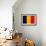 Chad Flag Design with Wood Patterning - Flags of the World Series-Philippe Hugonnard-Framed Premium Giclee Print displayed on a wall