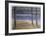 Chadwick Hollow-David Cain-Framed Collectable Print