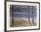 Chadwick Hollow-David Cain-Framed Collectable Print