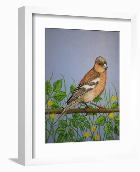 Chaffinch, 2016-Pat Scott-Framed Giclee Print