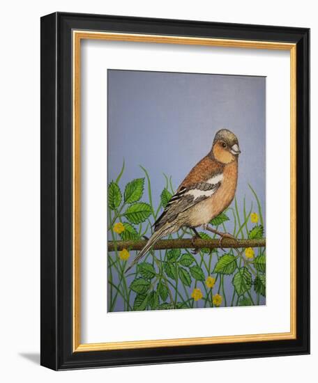 Chaffinch, 2016-Pat Scott-Framed Giclee Print