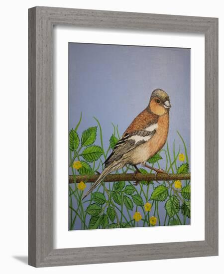 Chaffinch, 2016-Pat Scott-Framed Giclee Print