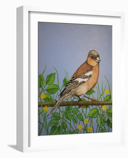 Chaffinch, 2016-Pat Scott-Framed Giclee Print