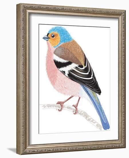 Chaffinch Sitting on a Tree Branch-Milovelen-Framed Art Print