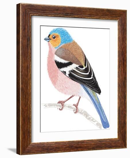 Chaffinch Sitting on a Tree Branch-Milovelen-Framed Art Print