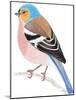 Chaffinch Sitting on a Tree Branch-Milovelen-Mounted Art Print