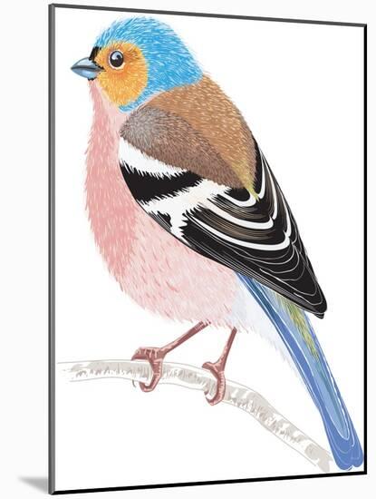 Chaffinch Sitting on a Tree Branch-Milovelen-Mounted Art Print