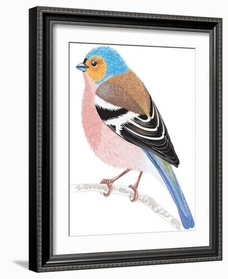 Chaffinch Sitting on a Tree Branch-Milovelen-Framed Art Print