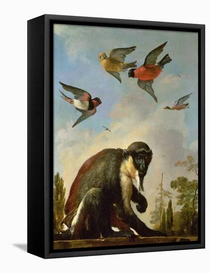 Chained Monkey in a Landscape-Melchior de Hondecoeter-Framed Premier Image Canvas