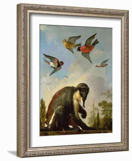 Chained Monkey in a Landscape-Melchior de Hondecoeter-Framed Giclee Print