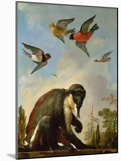 Chained Monkey in a Landscape-Melchior de Hondecoeter-Mounted Giclee Print