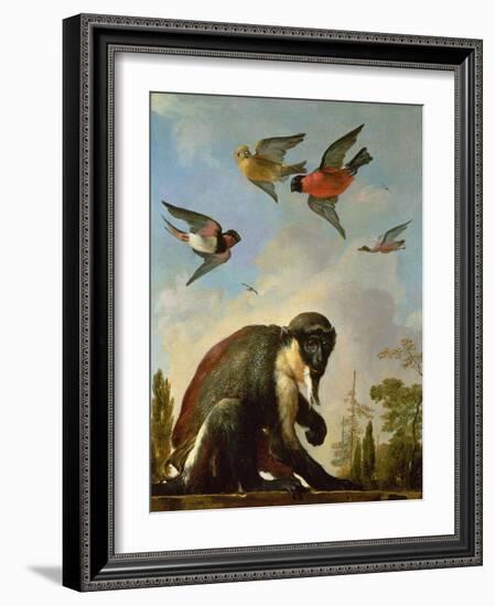 Chained Monkey in a Landscape-Melchior de Hondecoeter-Framed Giclee Print
