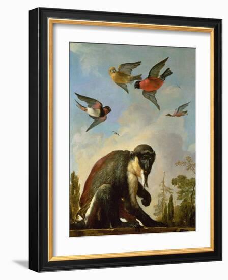 Chained Monkey in a Landscape-Melchior de Hondecoeter-Framed Giclee Print