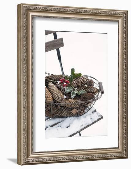 Chair in the Snow, Basket with Plug and Holly-Andrea Haase-Framed Photographic Print