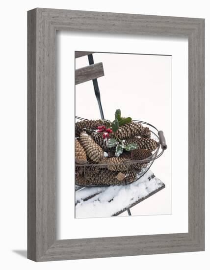 Chair in the Snow, Basket with Plug and Holly-Andrea Haase-Framed Photographic Print
