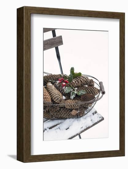 Chair in the Snow, Basket with Plug and Holly-Andrea Haase-Framed Photographic Print