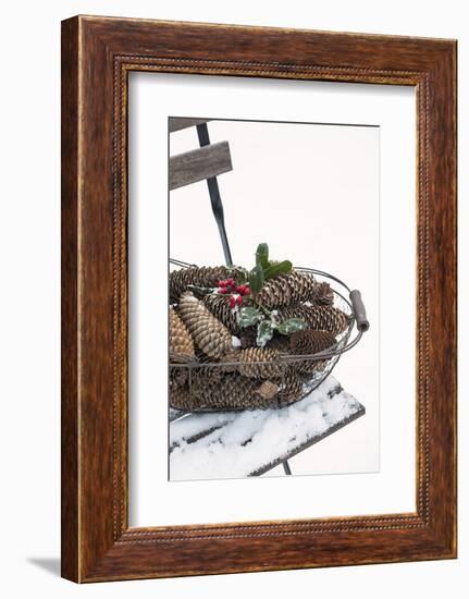 Chair in the Snow, Basket with Plug and Holly-Andrea Haase-Framed Photographic Print