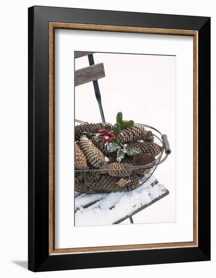 Chair in the Snow, Basket with Plug and Holly-Andrea Haase-Framed Photographic Print