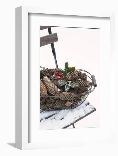 Chair in the Snow, Basket with Plug and Holly-Andrea Haase-Framed Photographic Print