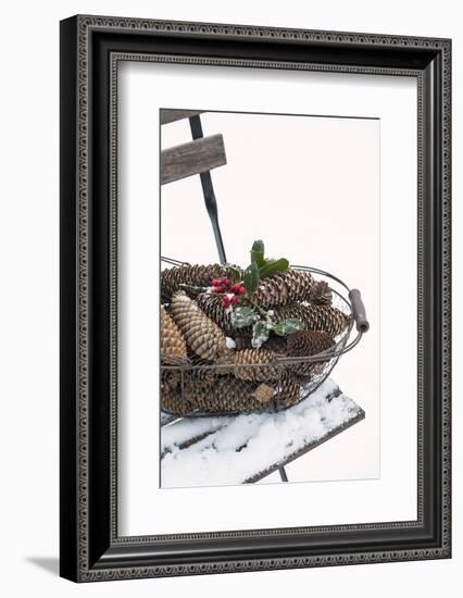 Chair in the Snow, Basket with Plug and Holly-Andrea Haase-Framed Photographic Print